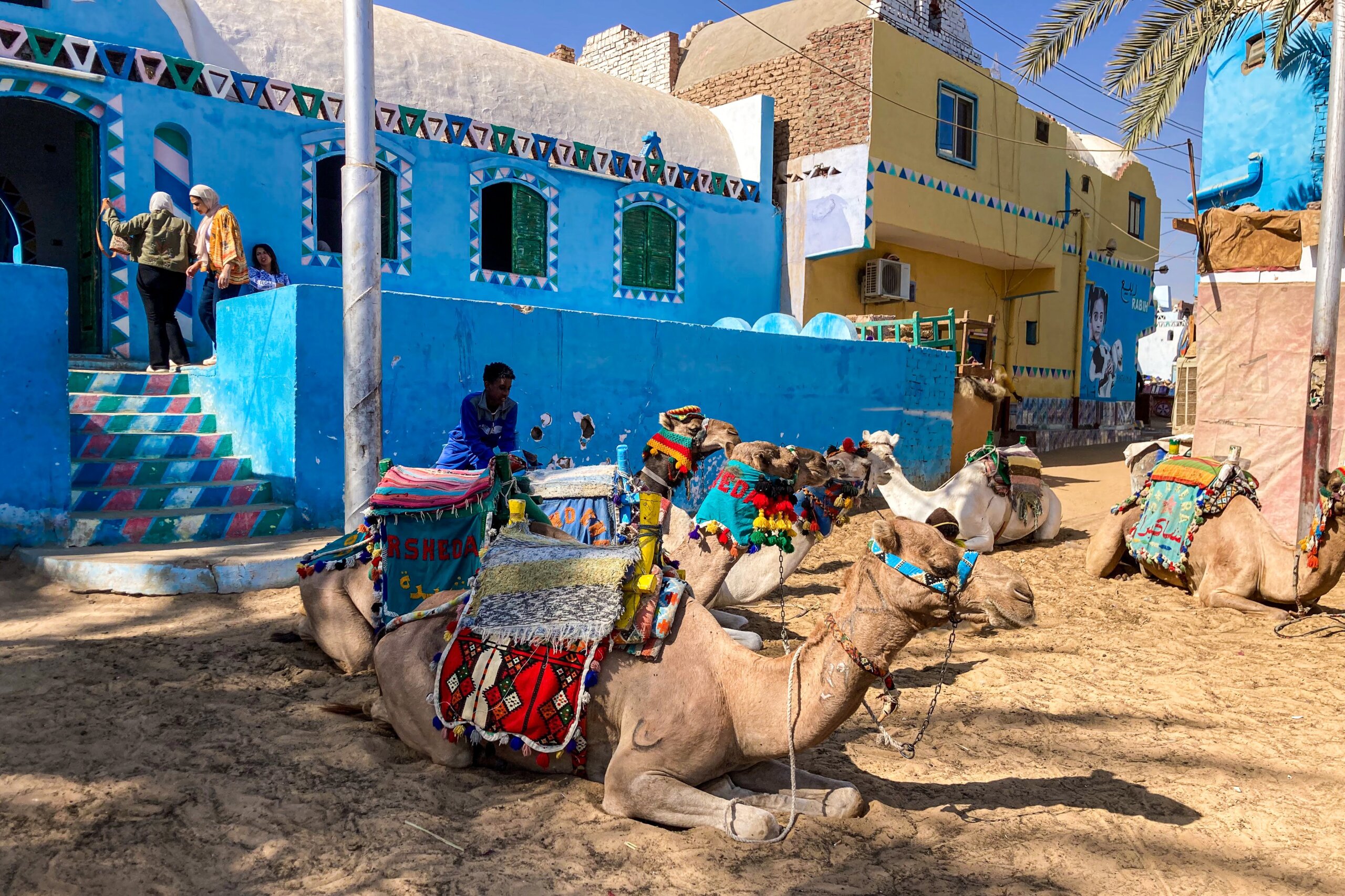 camels-nubian-village-aswan-egypt