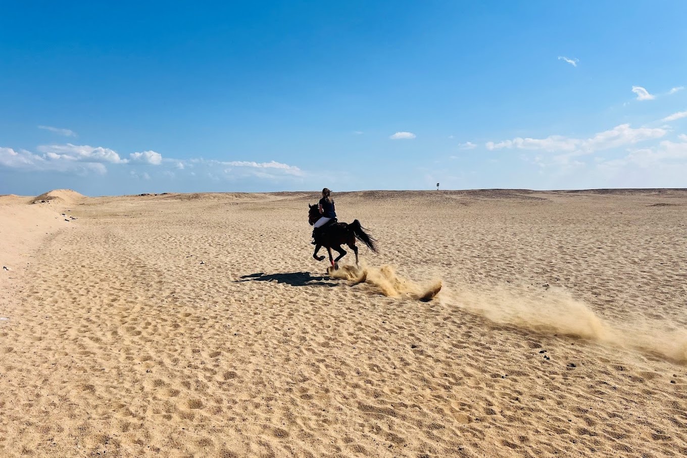 desert-gallop-horse-riding-holiday-hurghada-egypt