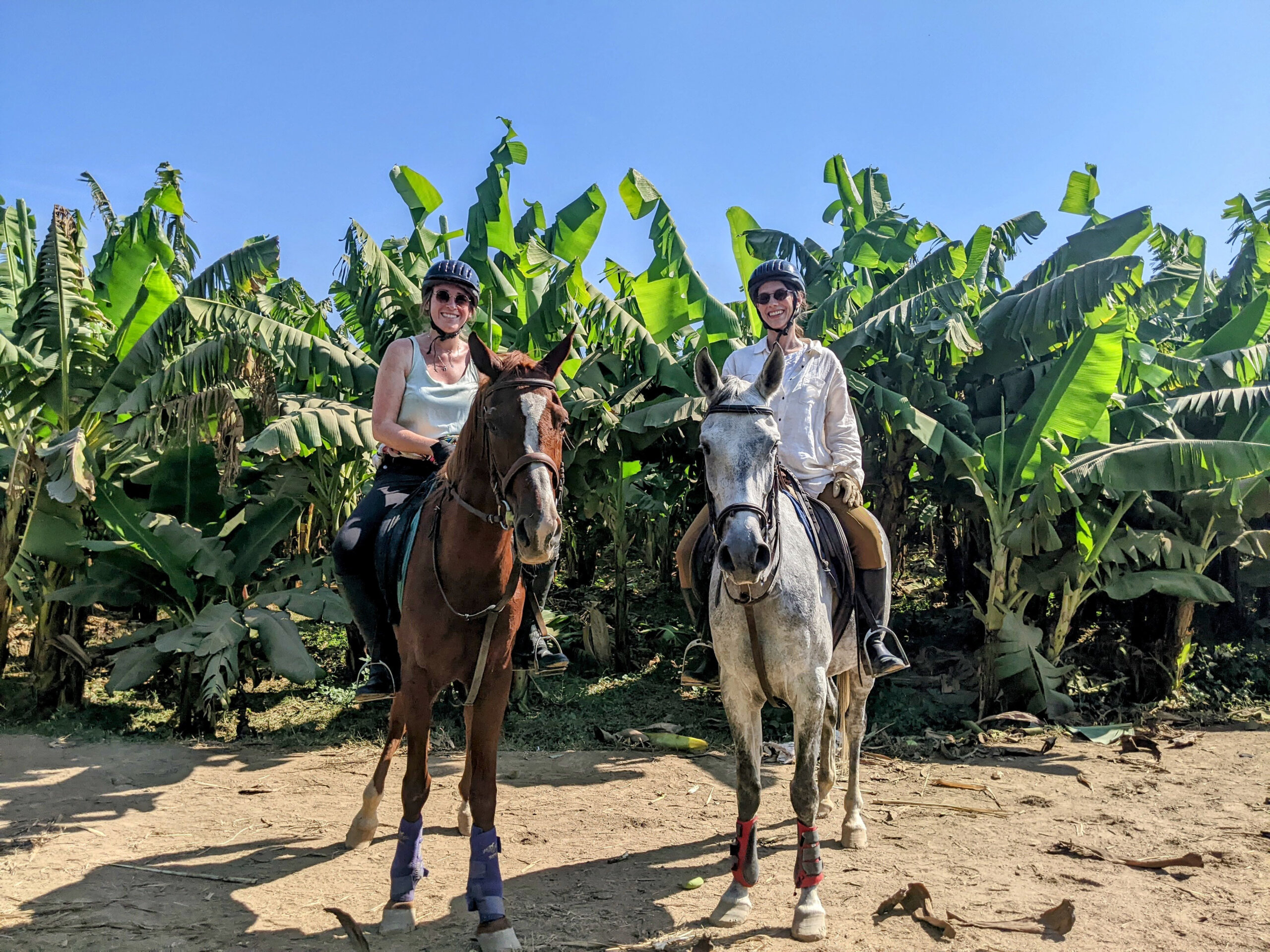 horse-riding-holiday-luxor-egypt-banana-fields-ride