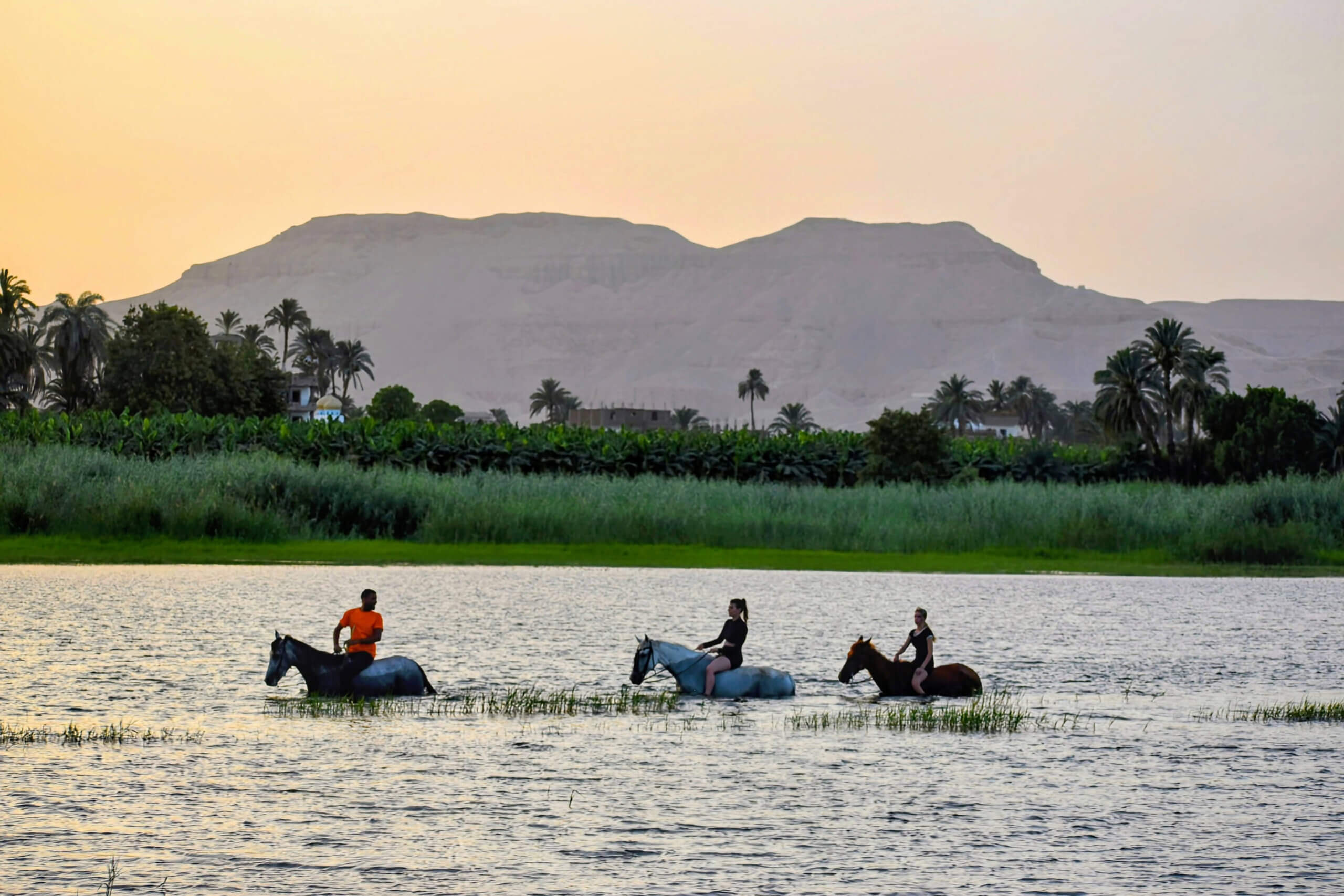 riding-horses-through-nile-river-mountain-luxor-west-bank-egypt