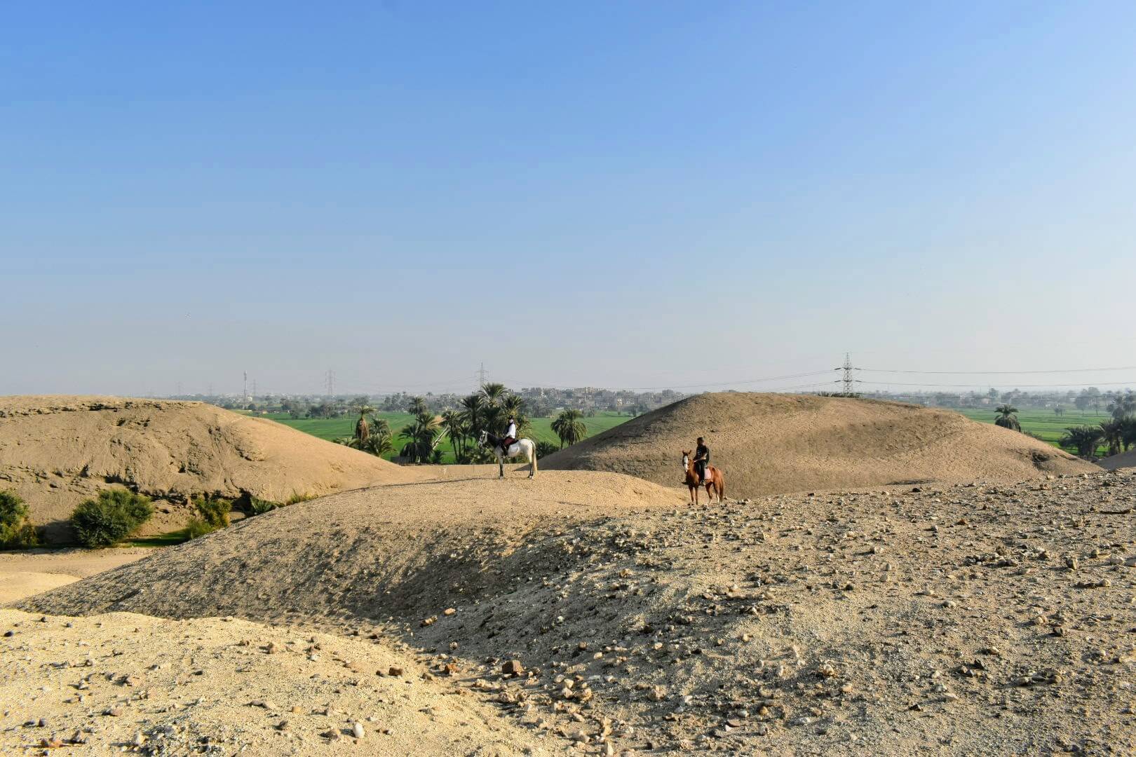 Horseback Riders Desert Luxor Full