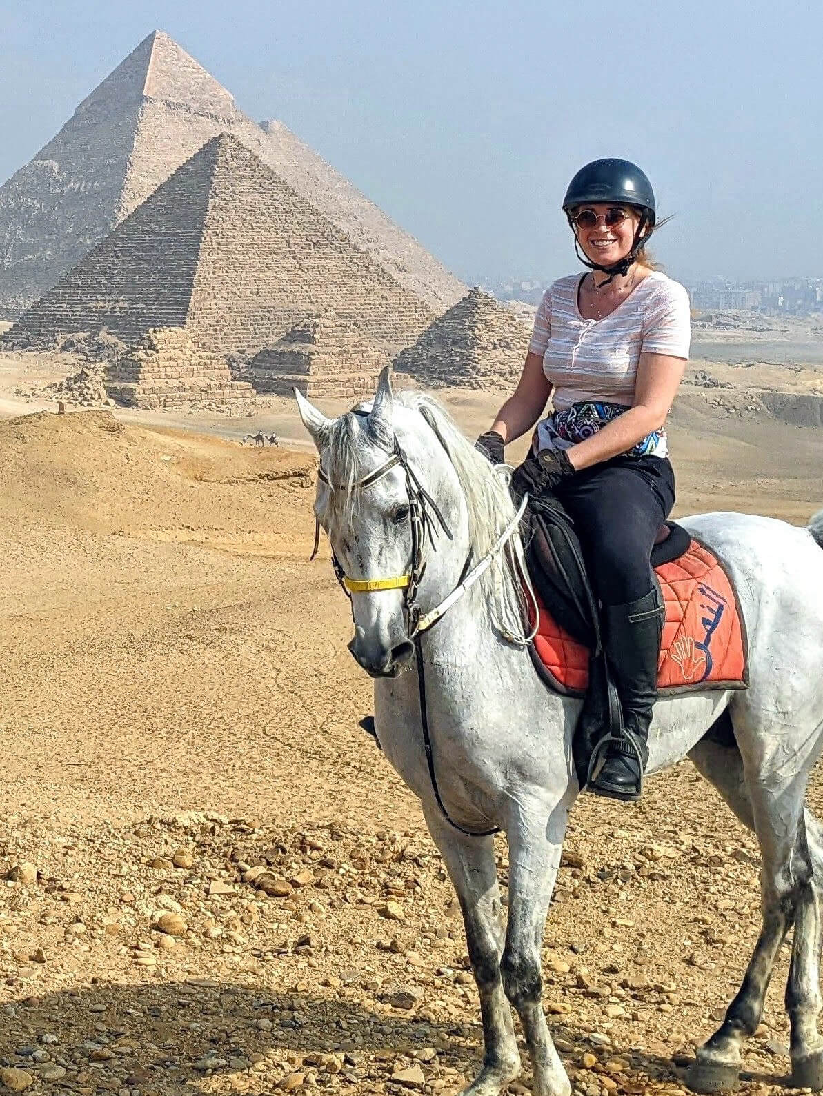 horse-riding-holiday-egypt-pyramids-of-giza-arabian-stallion