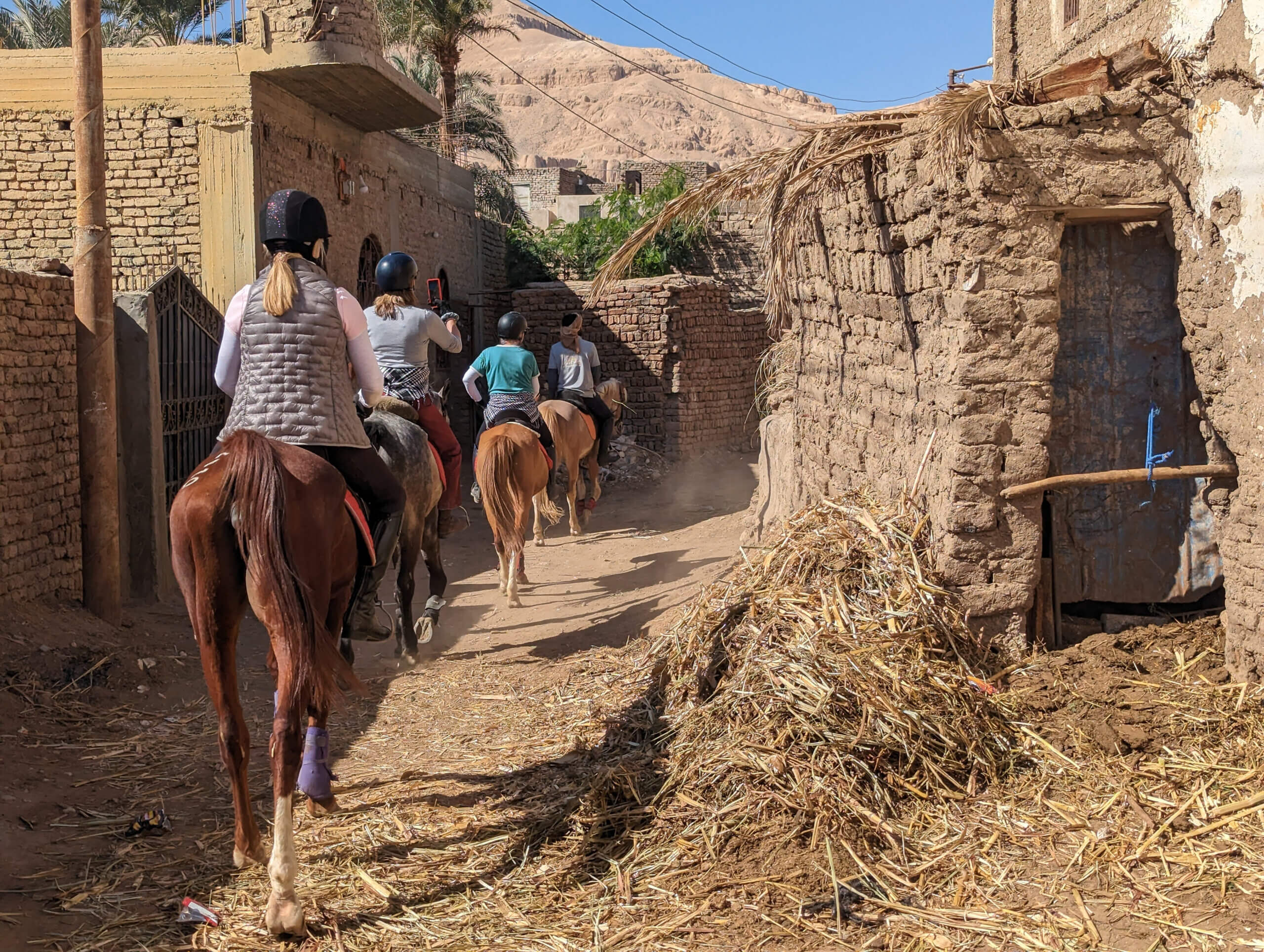 horse-riding-holiday-luxor-west-bank-village-egypt