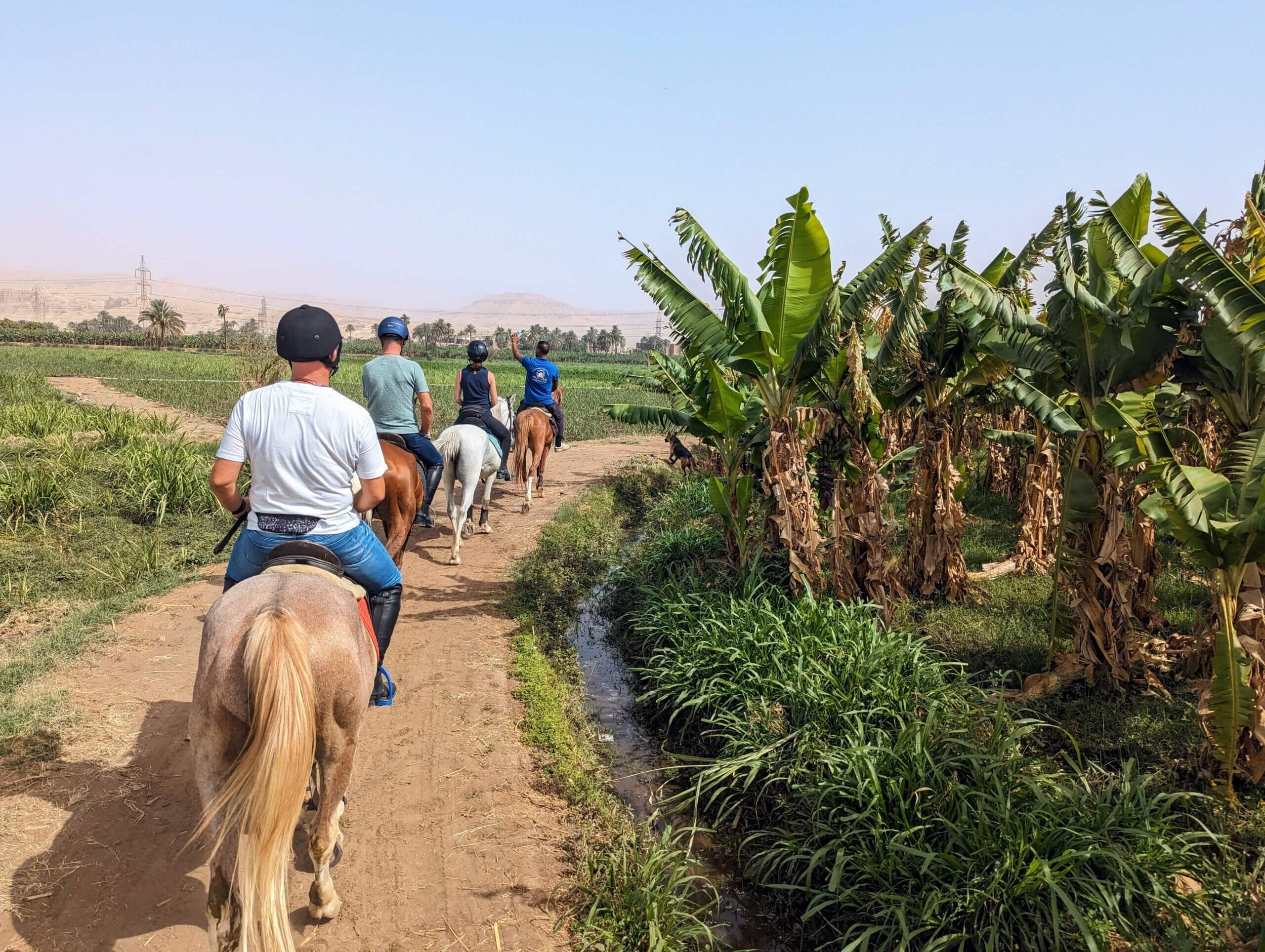 horse-riding-through-banana-trees-luxor-west-bank-egypt