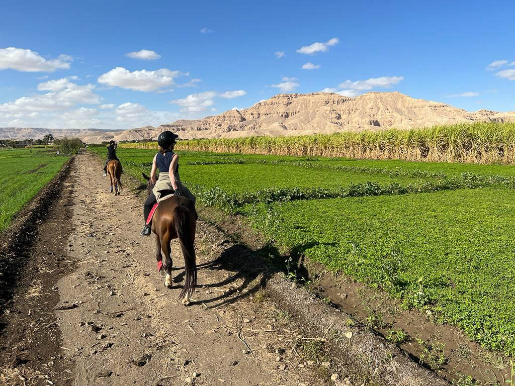 horse-riding-through-field-mountain-luxor-west-bank-egypt