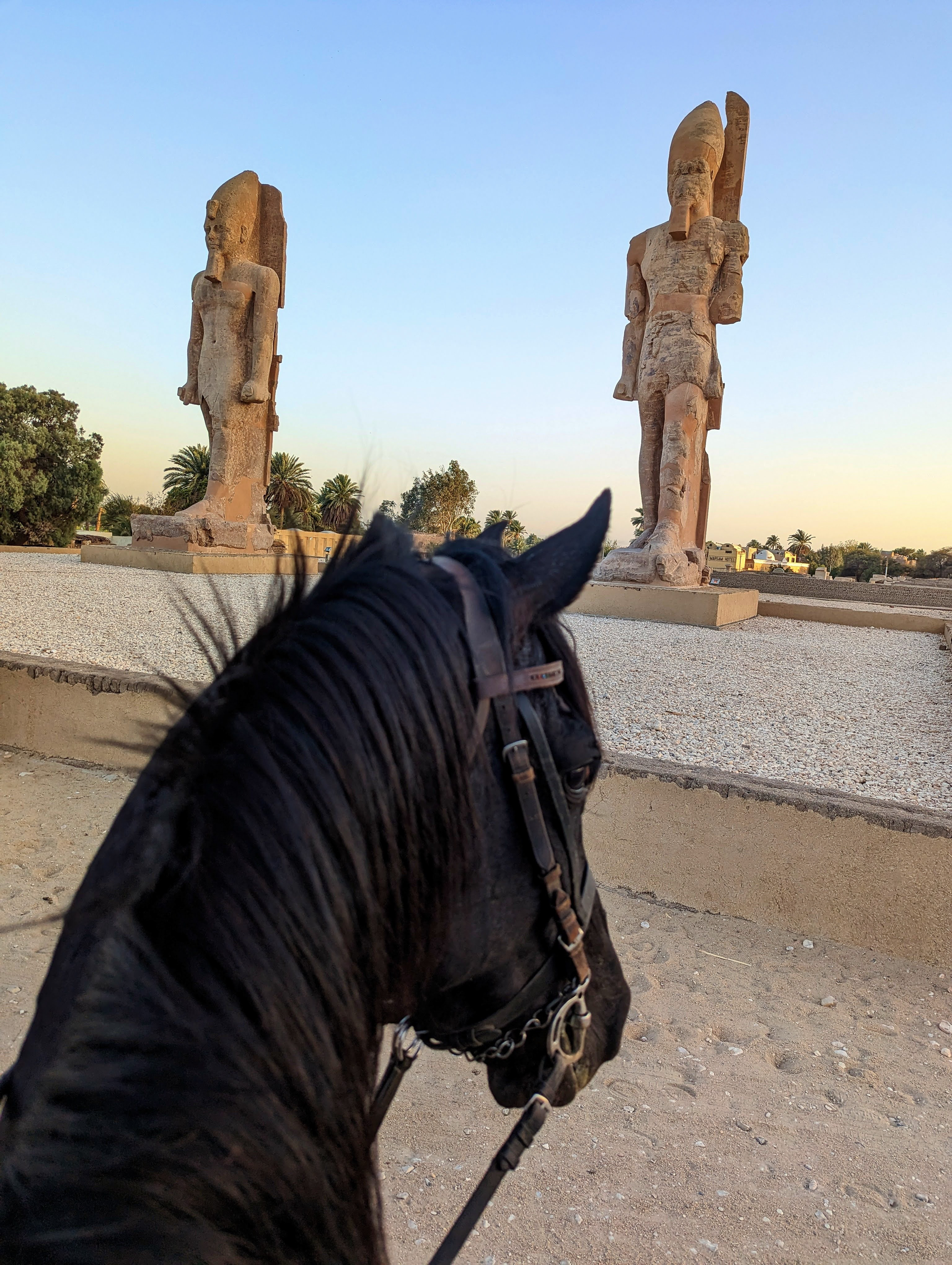 ancient-statues-amenhotep-between-horse-ears-riding-holiday-luxor-west-bank-egypt