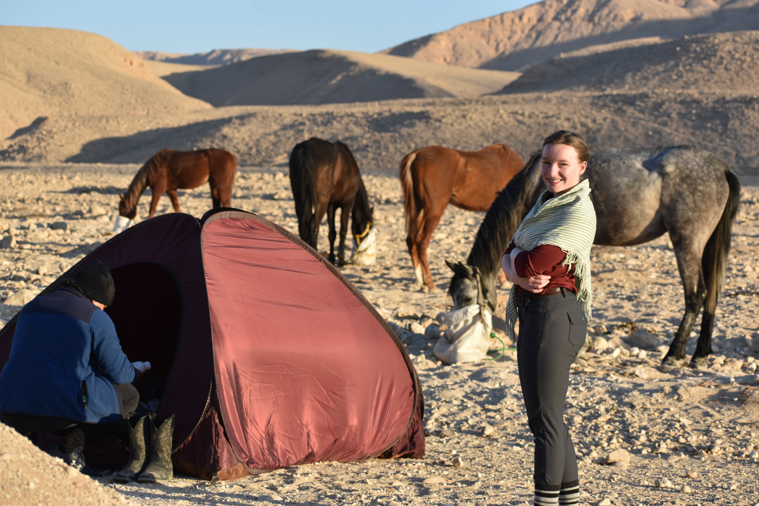 desert-camping-horse-riding-holiday-egypt