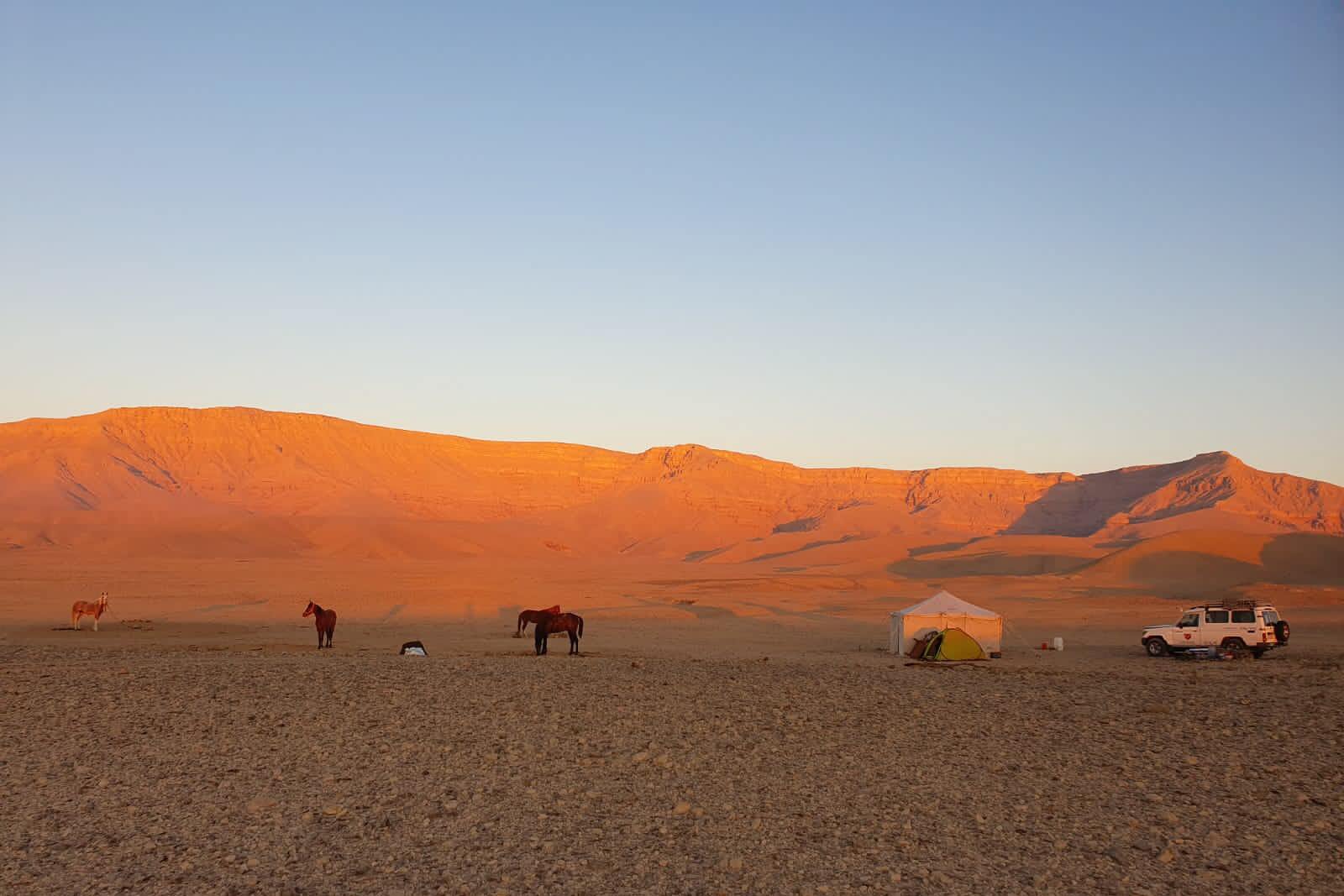 desert-campsite-mountain-sunrise-horse-riding-holiday-luxor-egypt