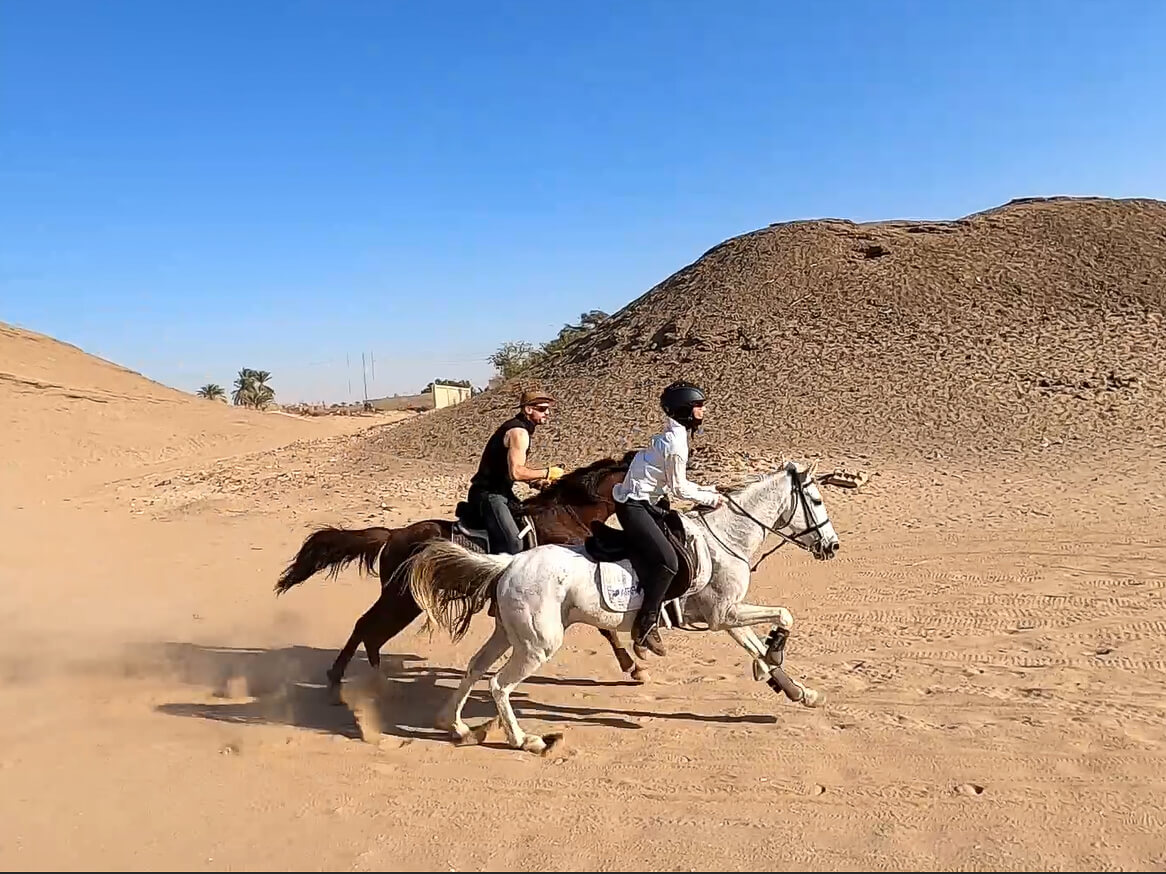 galloping-desert-horse-riding-holiday-luxor-egypt