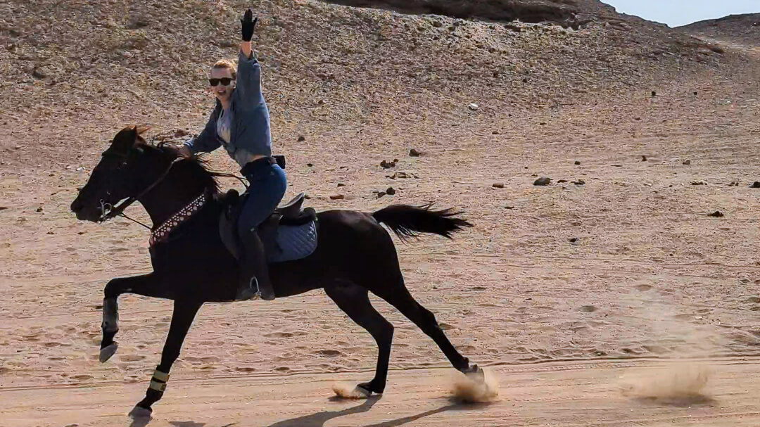 galloping-luxor-desert-black-stallion-horse-riding-holiday-egypt