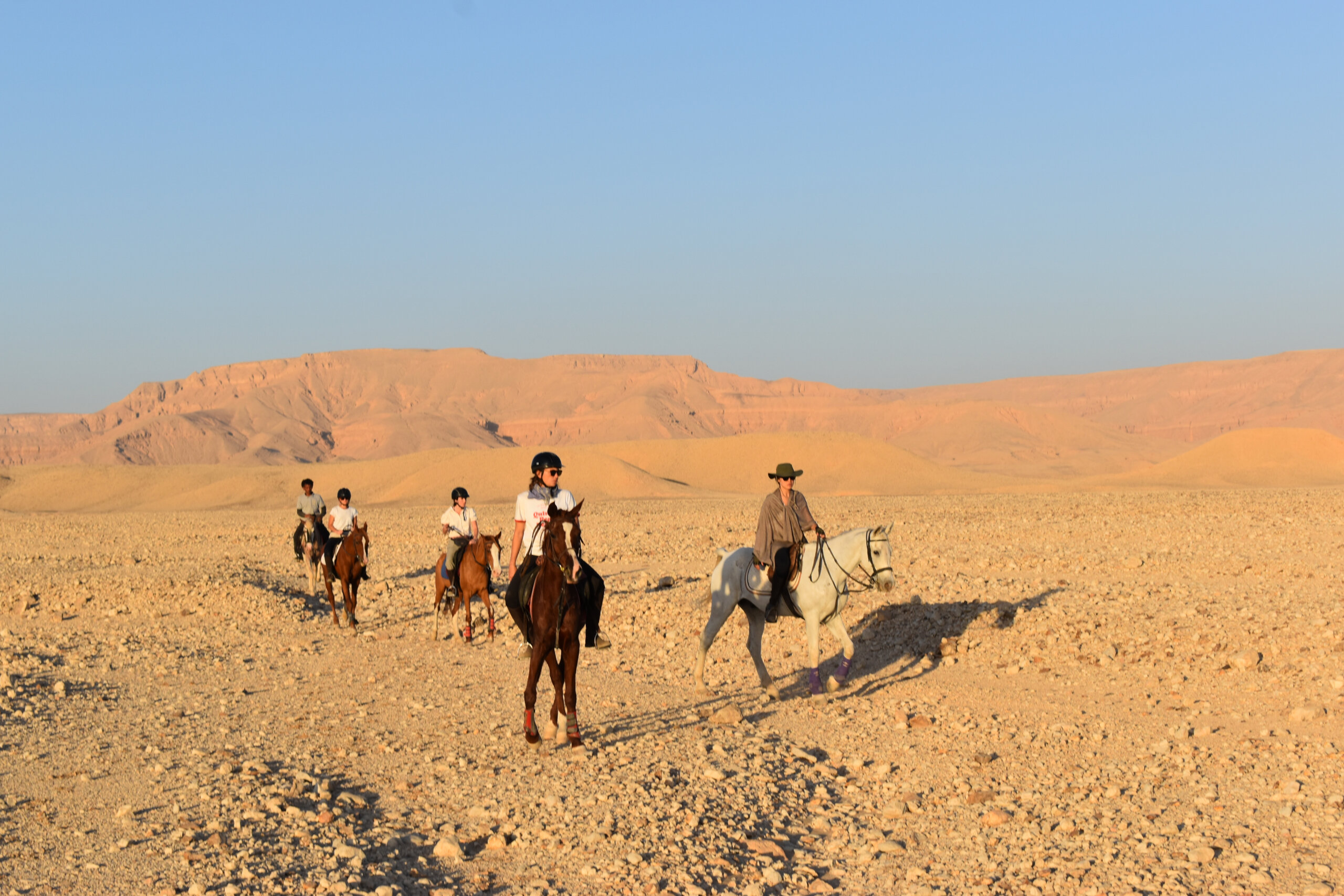 horse-riding-tour-desert-luxor-egypt