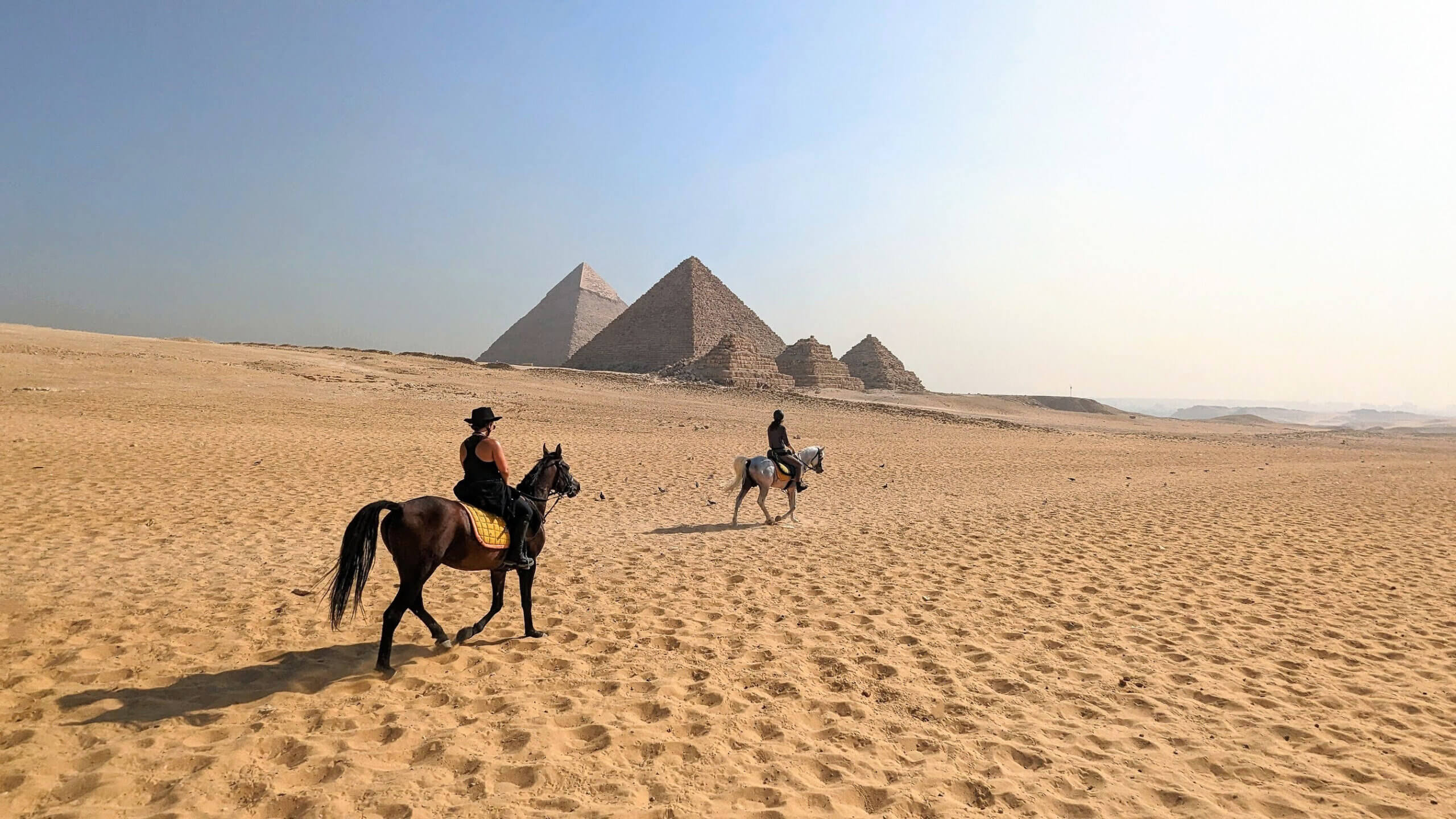 riding-arabian-horses-at-giza-pyramids-desert-egypt-equestrian-holiday