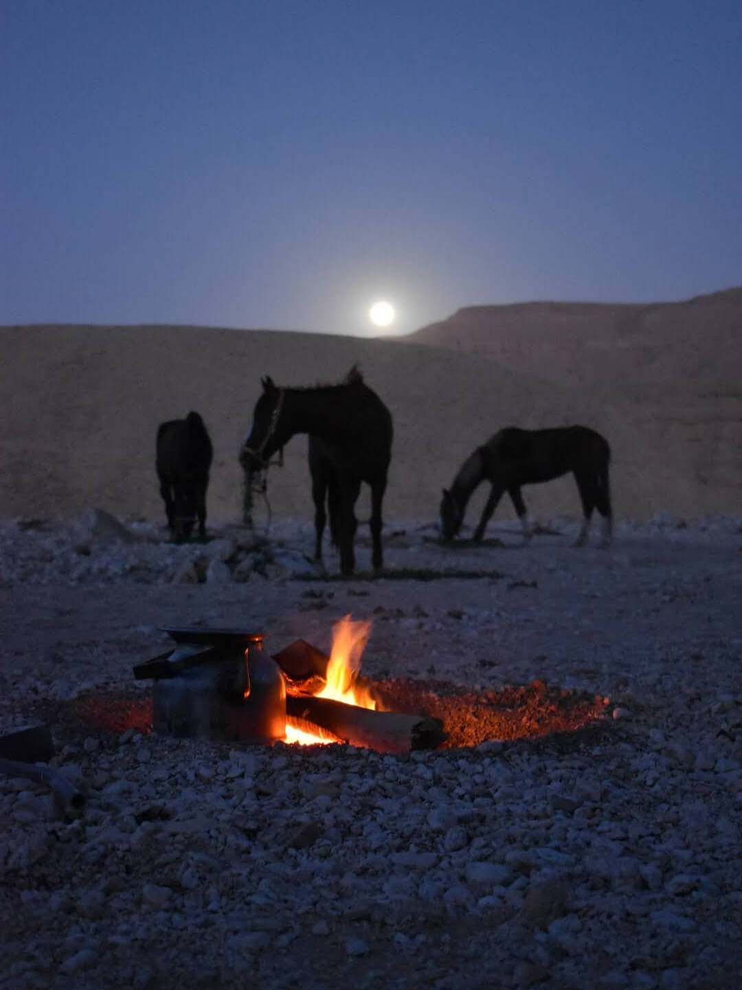 horses-by-campfire-moon-mountains-desert-west-bank-luxor-egypt