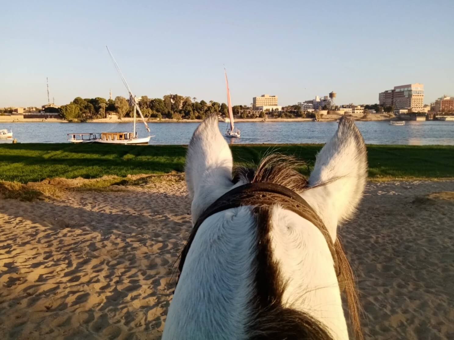 nile-river-through-horse-ears-luxor-west-bank-egypt