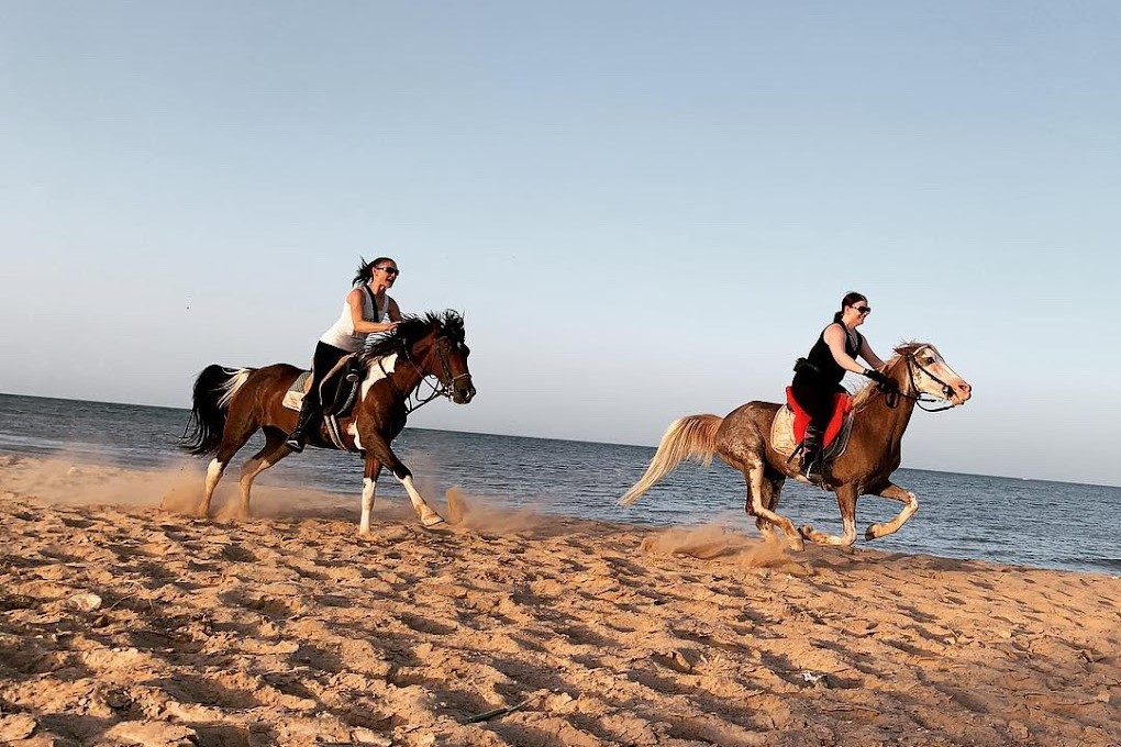 galloping-on-the-beach-red-sea-hurghada-egypt-horse-riding-holiday