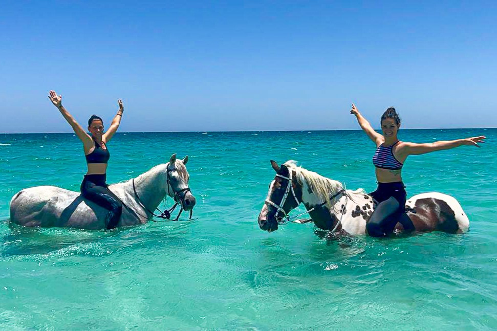 swimming-with-horses-red-sea-hurghada-horse-riding-holiday-egypt-2